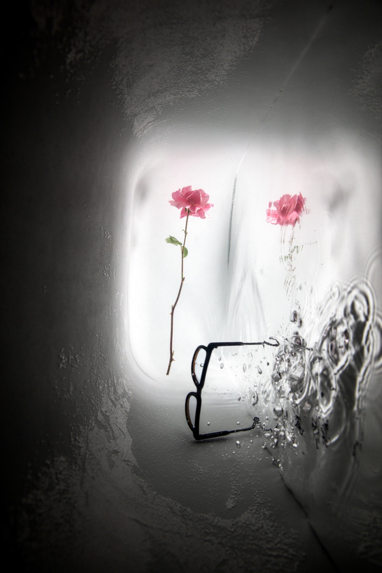 finding myselves — introspection by Robin Cerutti